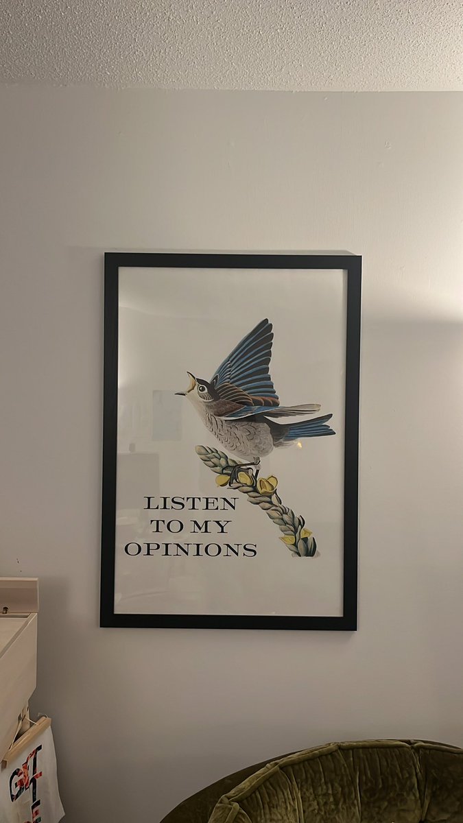jodiemartinphd's tweet photo. @duckofprey @EffinBirds This is behind me when I take zoom calls. No regrets. https://t.co/tSnoxix2HJ