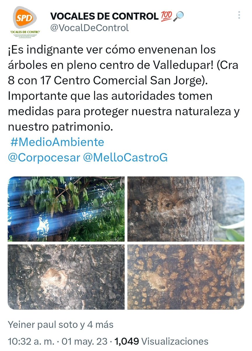 VocalDeControl's tweet photo. #Denuncia: En Valledupar están envenenando árboles y animales domésticos, es un ecocisidio. Pedimos al @MelloCastroG y @Corpocesar que realicen las denuncias correspondientes al REGIMEN SANCIONATORIO AMBIENTAL de la @FiscaliaCol. ¡Detengamos este crimen contra la naturaleza! https://t.co/nnBUp5GS22