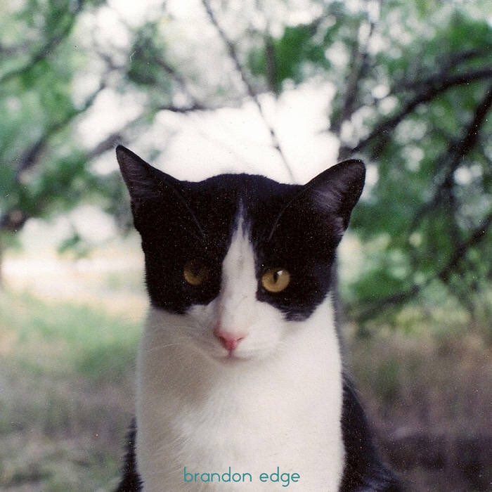 Shelter And Food Essentials SAFE🐈‍⬛♥️🐕 tweet media