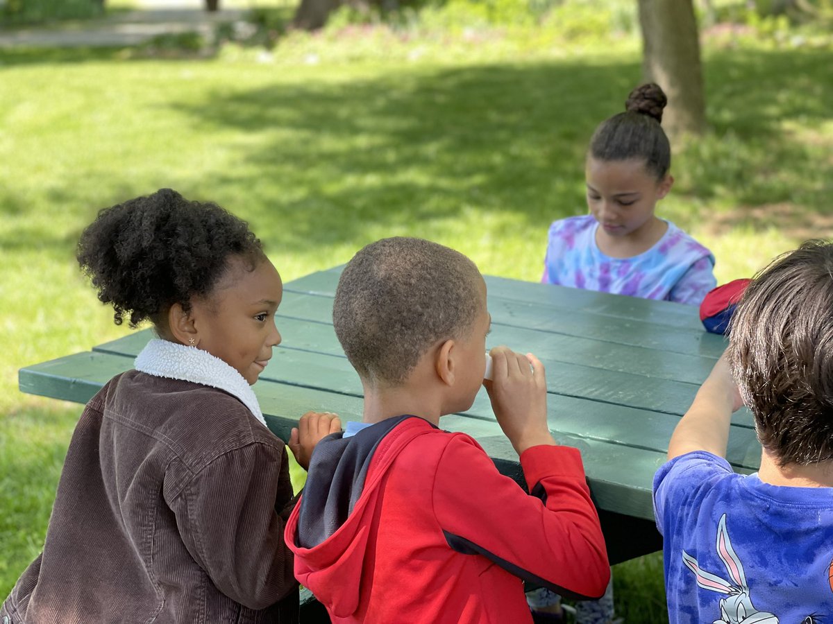 Mrs. Parker's swans tweet media