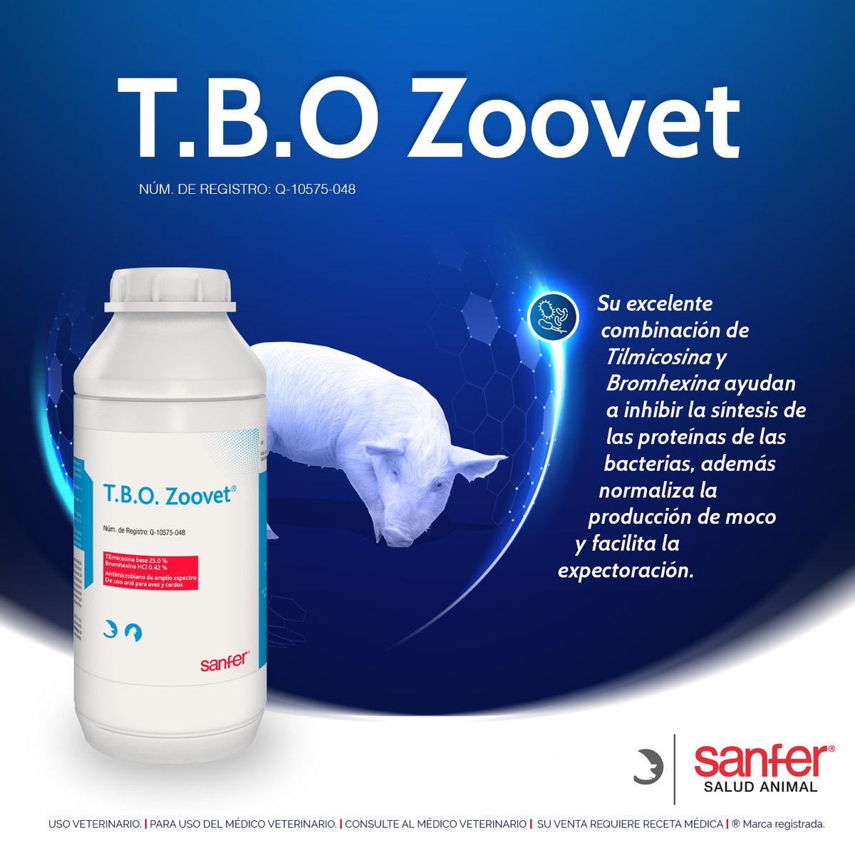 SanferSaludA's tweet image. T.B.O Zoovet cuida y protege la salud respiratoria de tus cerdos 🐖🐷, conoce más en: ow.ly/tKZt50OhAGS

 #Porcicultura ​#Porcinos #Cerdos #SaferSaludAnimal #Pecuario