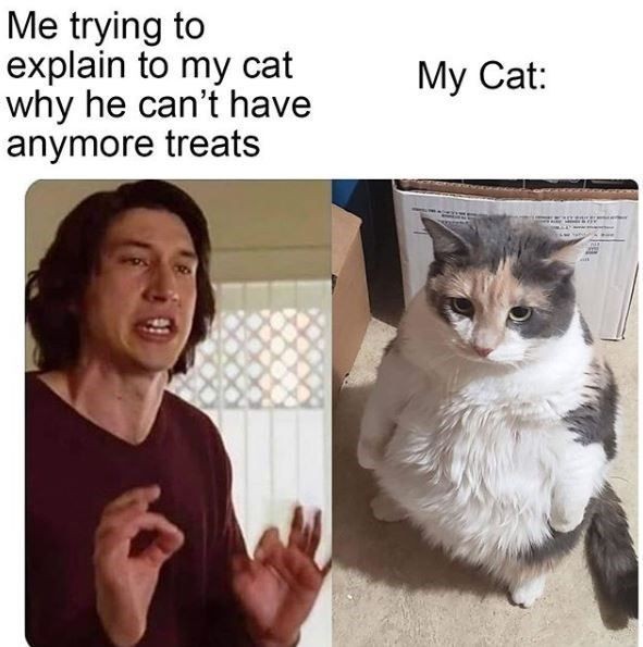 WholesomeMeme's tweet photo. https://t.co/fOTRTJufWF