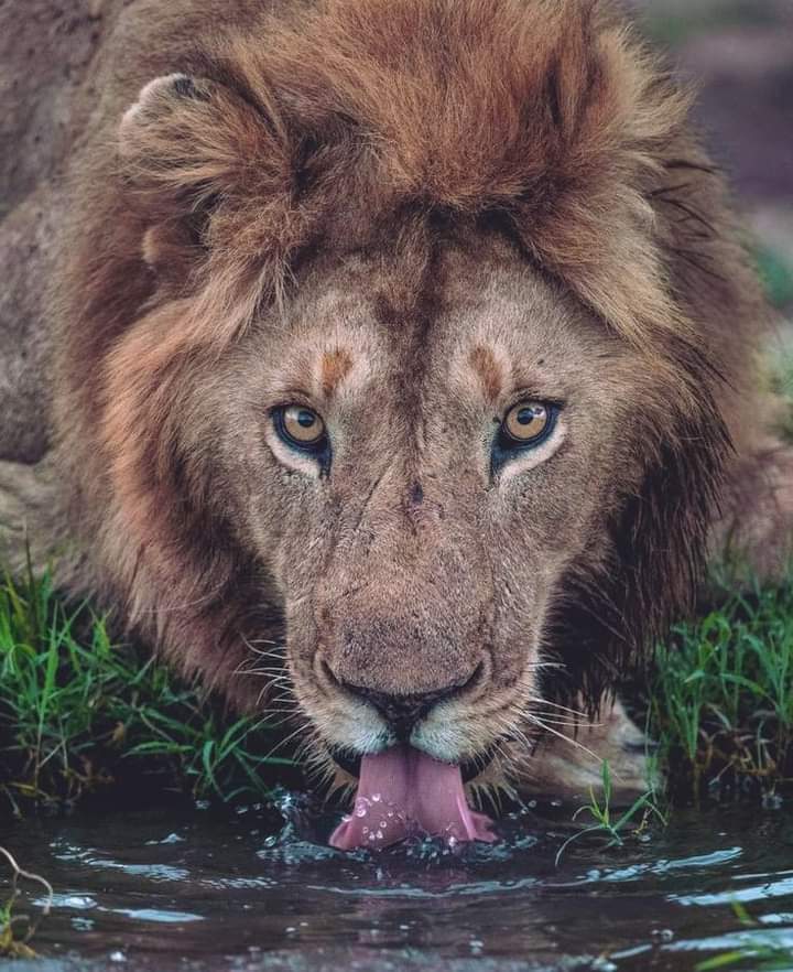 abunasser (@sorkarmoni) on Twitter photo 