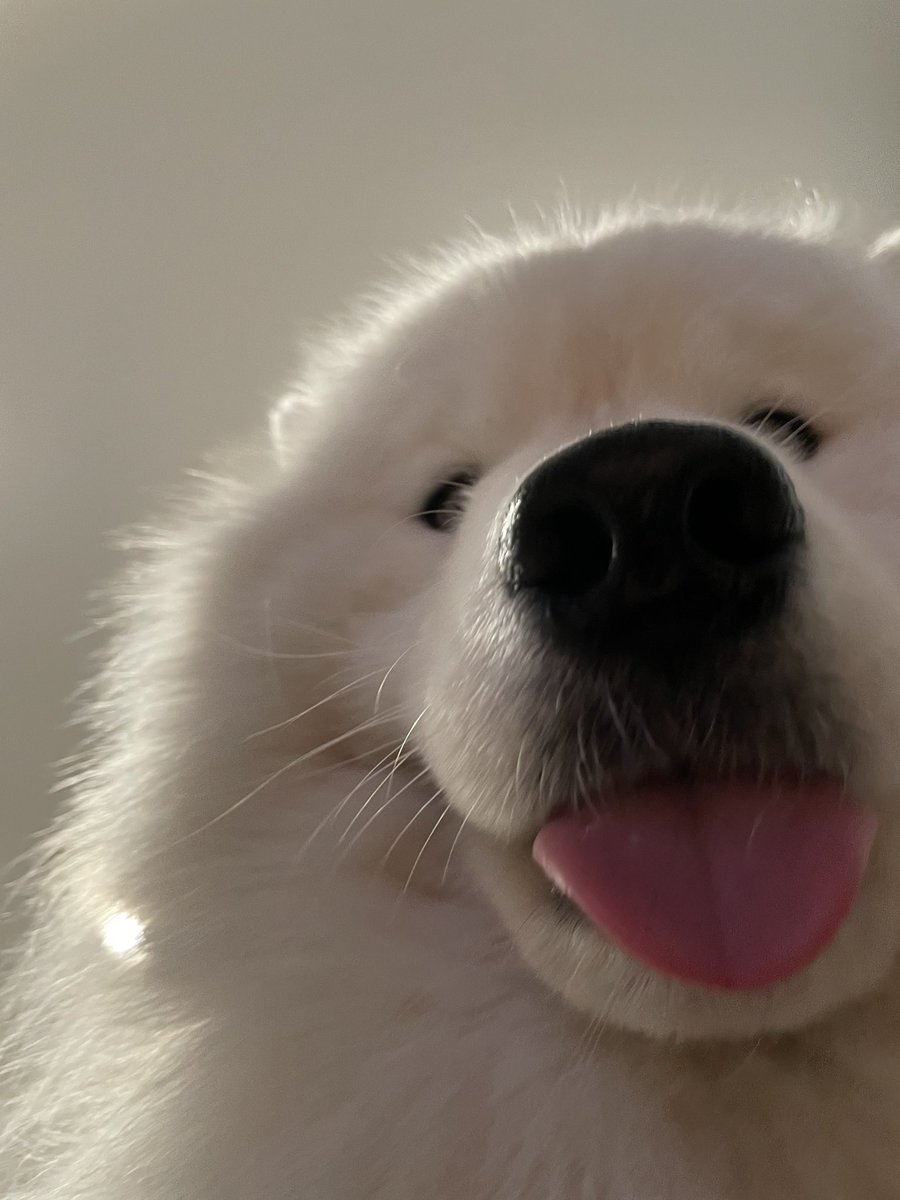 wayneradiotv's tweet image. pov: you are a smell