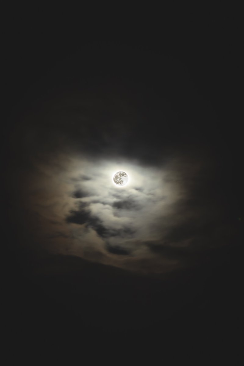 Yosnier_'s tweet photo. last night's full moon in scorpio; the "flower" moon https://t.co/0MeYflcja2