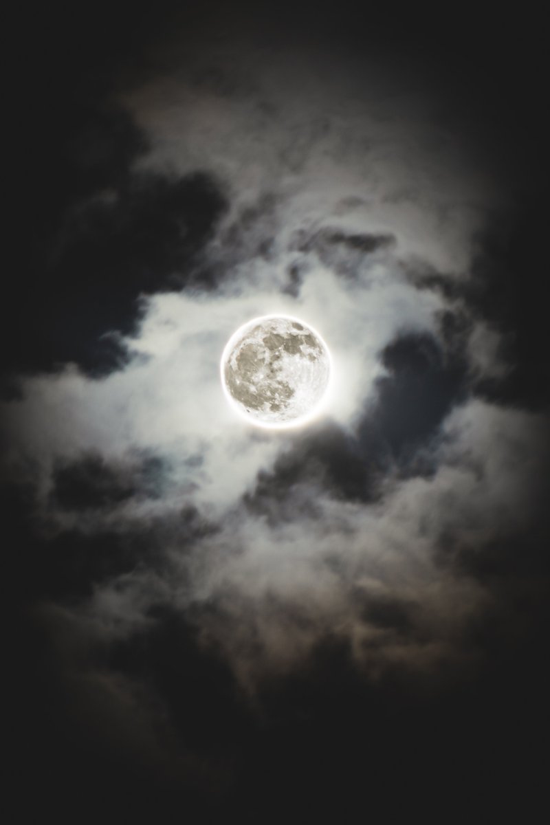 Yosnier_'s tweet photo. last night's full moon in scorpio; the "flower" moon https://t.co/0MeYflcja2