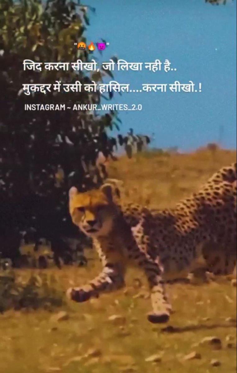 Rajasthann_Wale's tweet photo. अब तो पीछे हटने का सवाल ही पैदा नहीं होता

ट्रेंड अलर्ट 
#RAJ_UDC_GP3600
समय 11:00 बजे से...... https://t.co/UL0ql7Veoh