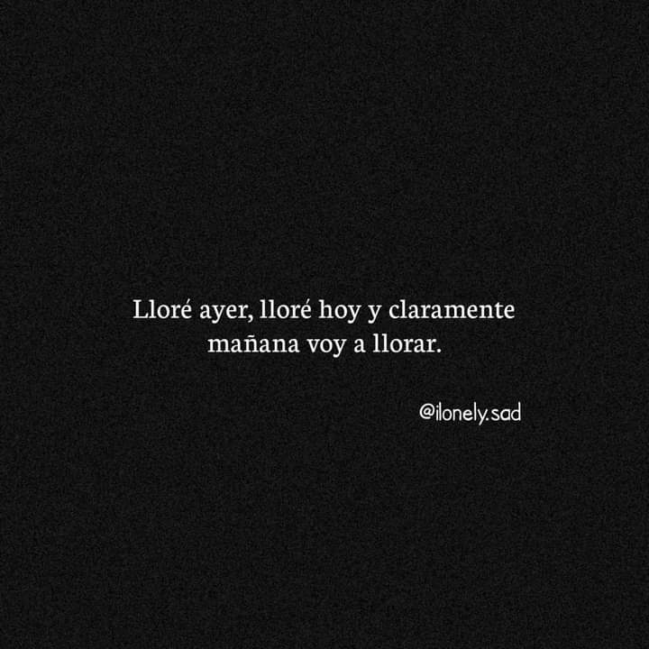 Alejandra Bernal tweet media