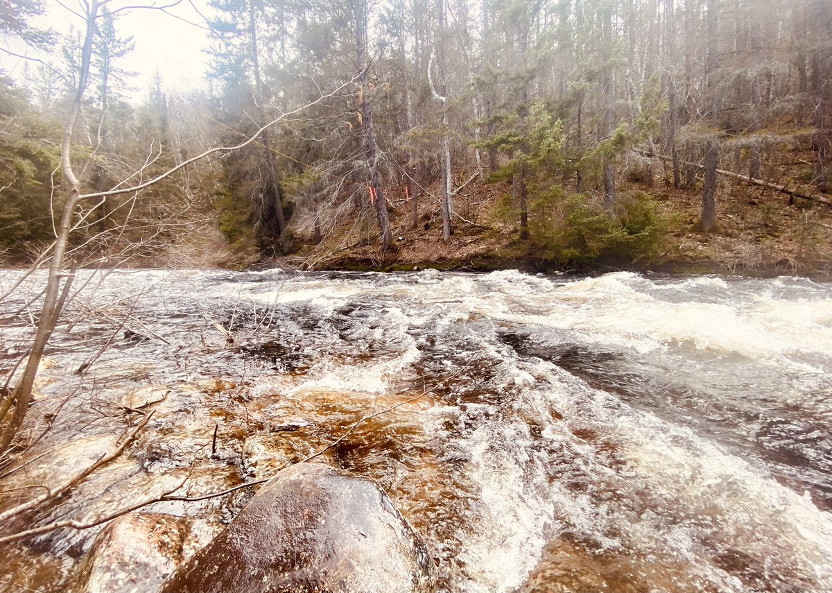 marykkeown's tweet photo. First proper #explore in quite a long while… The #WingDog, @lynn_news and I headed out and down into a valley, in search of a #river I’d seen on a map. We found it and it was glorious. Now I’m fixated on #paddling it w #KoralTheKayak… What a great afternoon to be outside… https://t.co/mJpdARYXos
