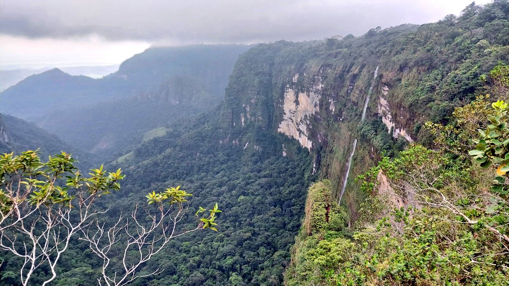 GBertrand_UE's tweet photo. En el #SurDelMeta se encuentran Orinoquía, Amazonía, Andes y el escudo guayanés. Desde el Acuerdo de Paz, municipios como Mesetas y San Juan de Arama y sus comunidades le apuestan al ecoturismo.
¡Joyas desconocidas a sólo unas horas de Bogotá! 🌄
#EuropaCreeEnColombia 🇪🇺🕊️🌳🇨🇴 https://t.co/LVcV1zU4bn