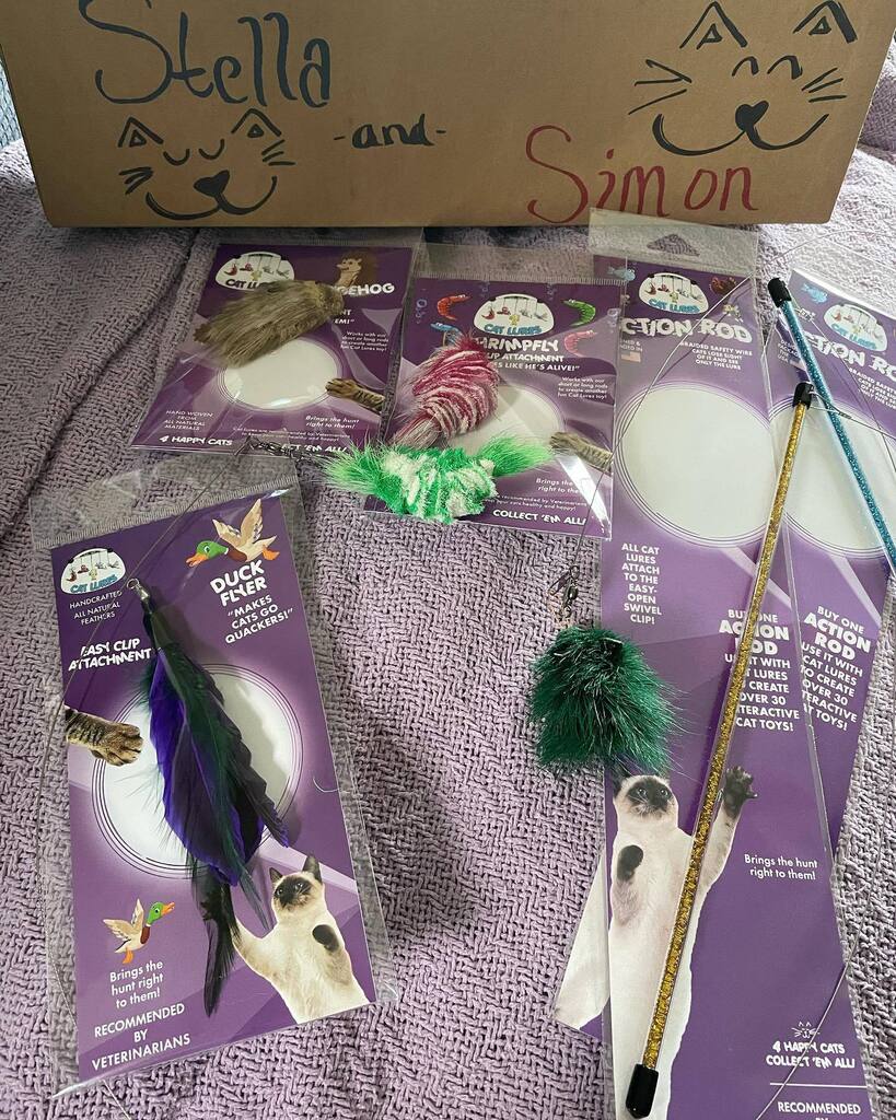 ncalyssa8083's tweet photo. @christhecatclub cat lures are great! Two paws up from @just2stinkers and a Michigan  small business, I loved the box🙌#shopsmall #catlures #cattoysofinstagram https://t.co/7OJs8ErciU https://t.co/VLmXMniniJ