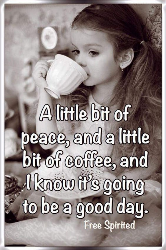 #coffeepeople #coffeeandbooks 
#coffeestory #coffeecorner #coffeeplease #coffeeaddicts #coffeeroasting #coffeeroastery #coffeeshops #coffeeblogger #coffee #coffeetime #coffeemilkshake #heat #breakfast