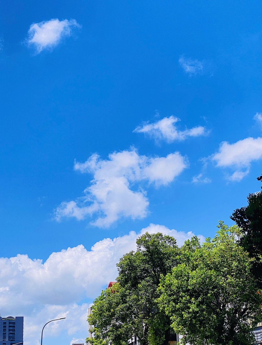 hangruoqi's tweet photo. 生活是晨起暮落，日子是柴米油盐，
时光匆匆我们终将释怀，
健康的活着，平静的过着，
开心的笑着，适当的忙着，

就很好！ https://t.co/rV2pzQIXrG