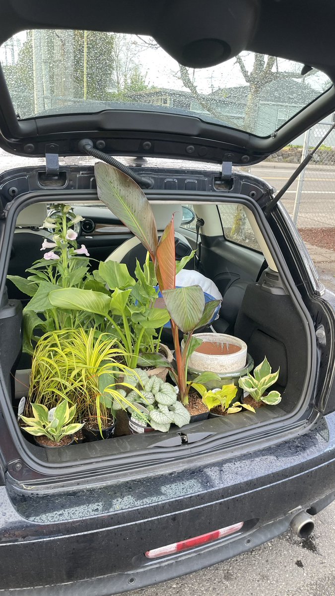 Robbiepaul_dean's tweet photo. I think I have a serious problem 🌱 https://t.co/64uDool5om
