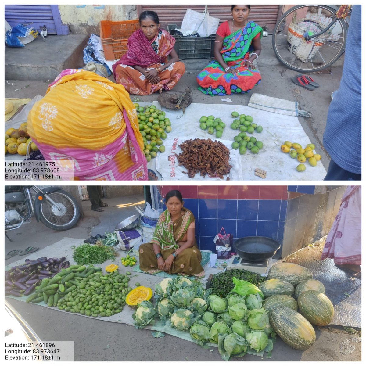 Women of Balaranga VSS of Sadar FMU collected Vegetables, Tamarind and green leaf from nearer villages and selling it in Golbazar Chowk getting profit @pccfodisha @PCCFWL_Odisha @DmSambalpur @SpSambalpur @RccfRourkela @kanak_news @otvnews @News18Odia @DFOBalangir @NayagarhDFO2