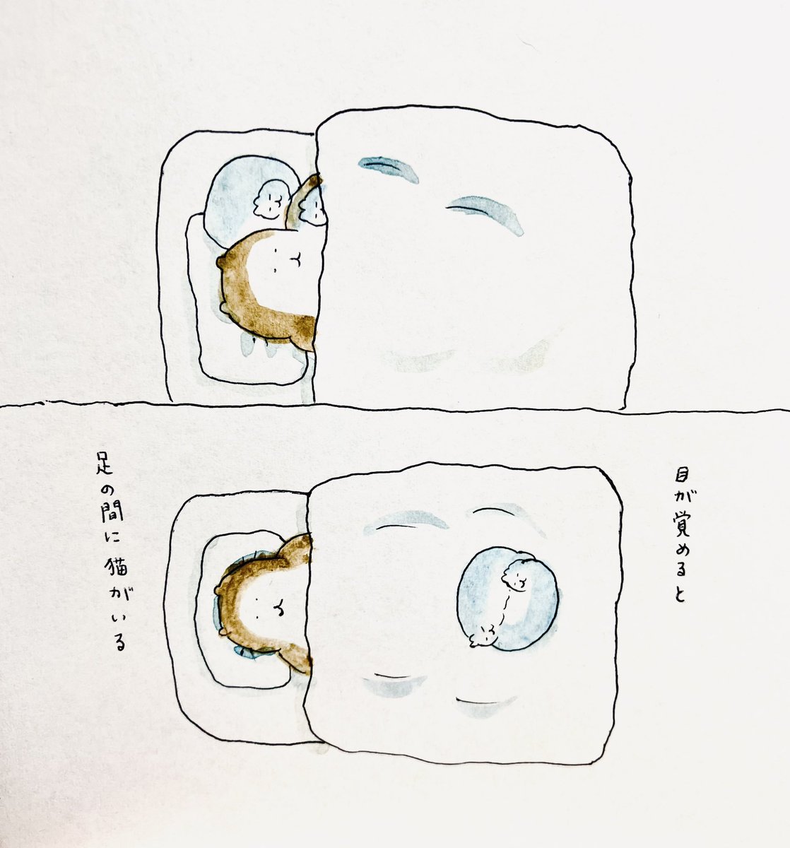 #bubuchiyo絵日記