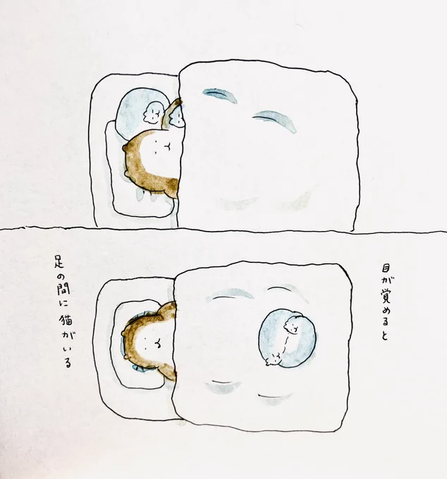 #bubuchiyo絵日記