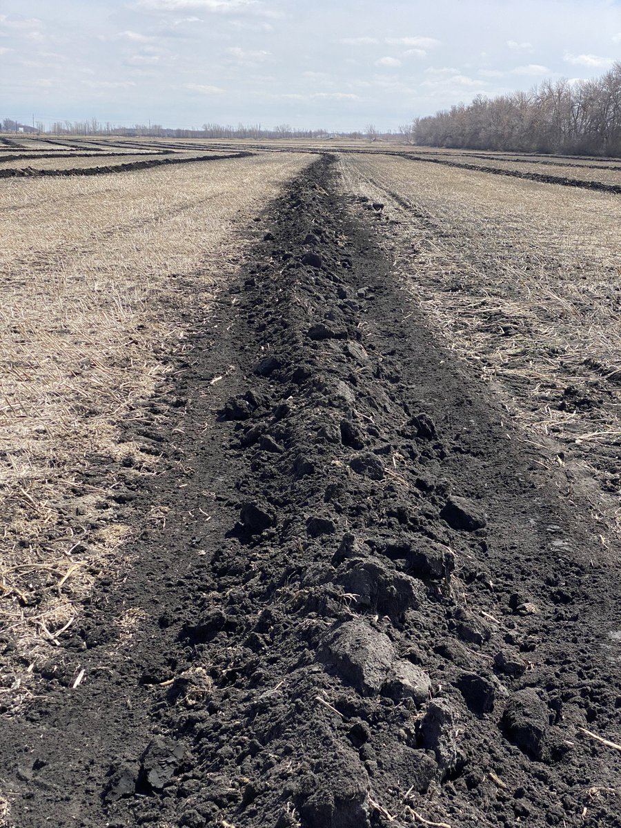 AndrewFarms's tweet photo. Closing and cleaning up from fall #tile22 project. #plant23 next week rain dependent, but working quite nice leaving over winter. I’m impressed @MarlenBergen https://t.co/oqh96oUg4j