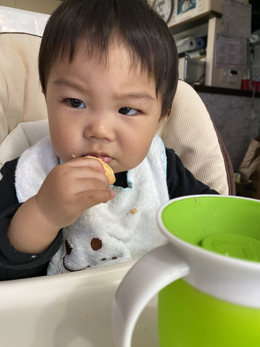 eighter11093's tweet photo. かいちゃん2号テレビを真剣に見ながら、アンパンマンビスケット(● ̍̑● ̍̑●) https://t.co/8jvkiT4cZe
