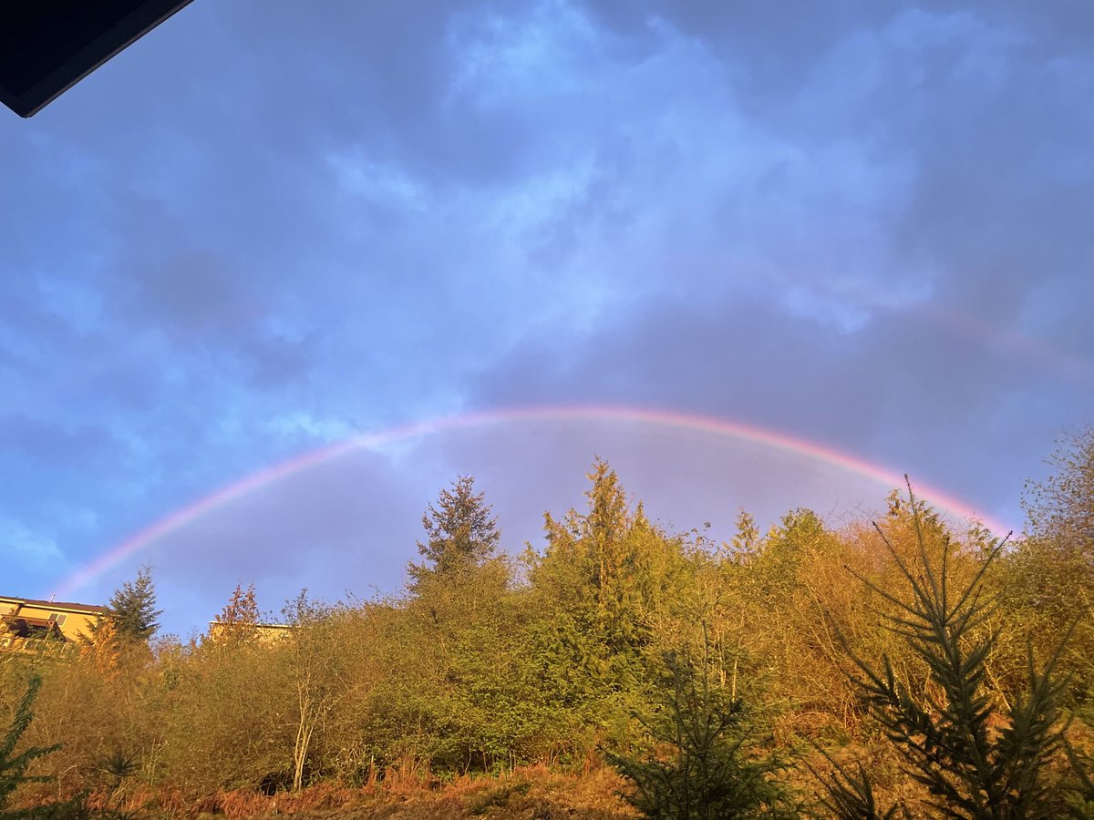 Carlie Jo on Twitter "🌈"