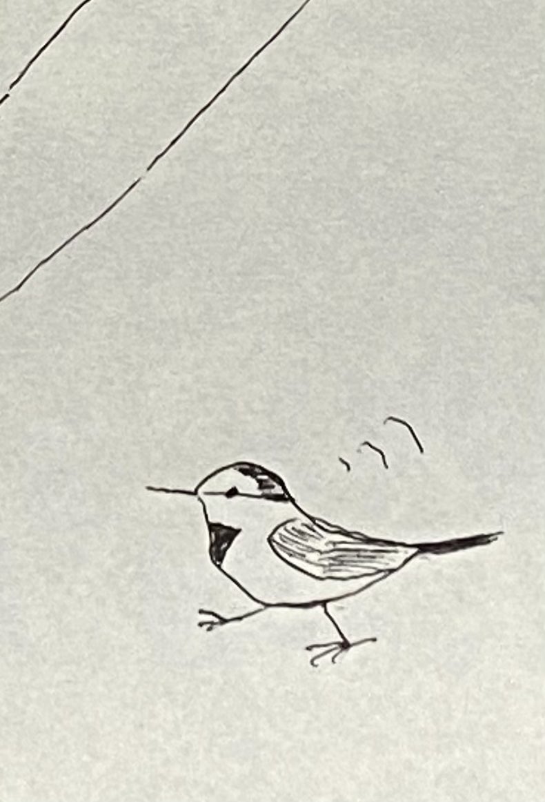 #ツイッターを鳥で埋め尽くす