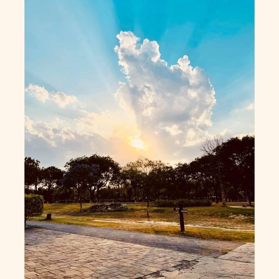 rezzalyshah's tweet photo. Gorgeous Sky and Nature 🌲 #loveforphotography📷 #photooftheday #PhotoByRezz https://t.co/Aa8TbTDJWr