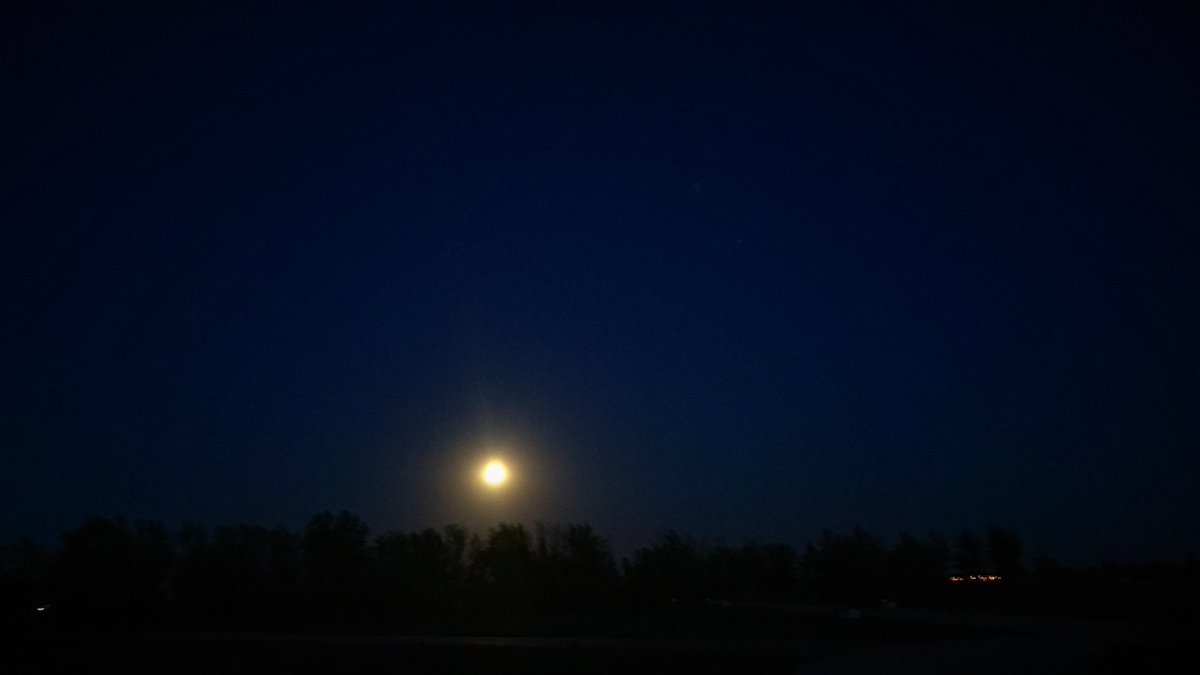 Ne_Kitov's tweet image. Night in the park.
#dark #darkaestetic #streetwear