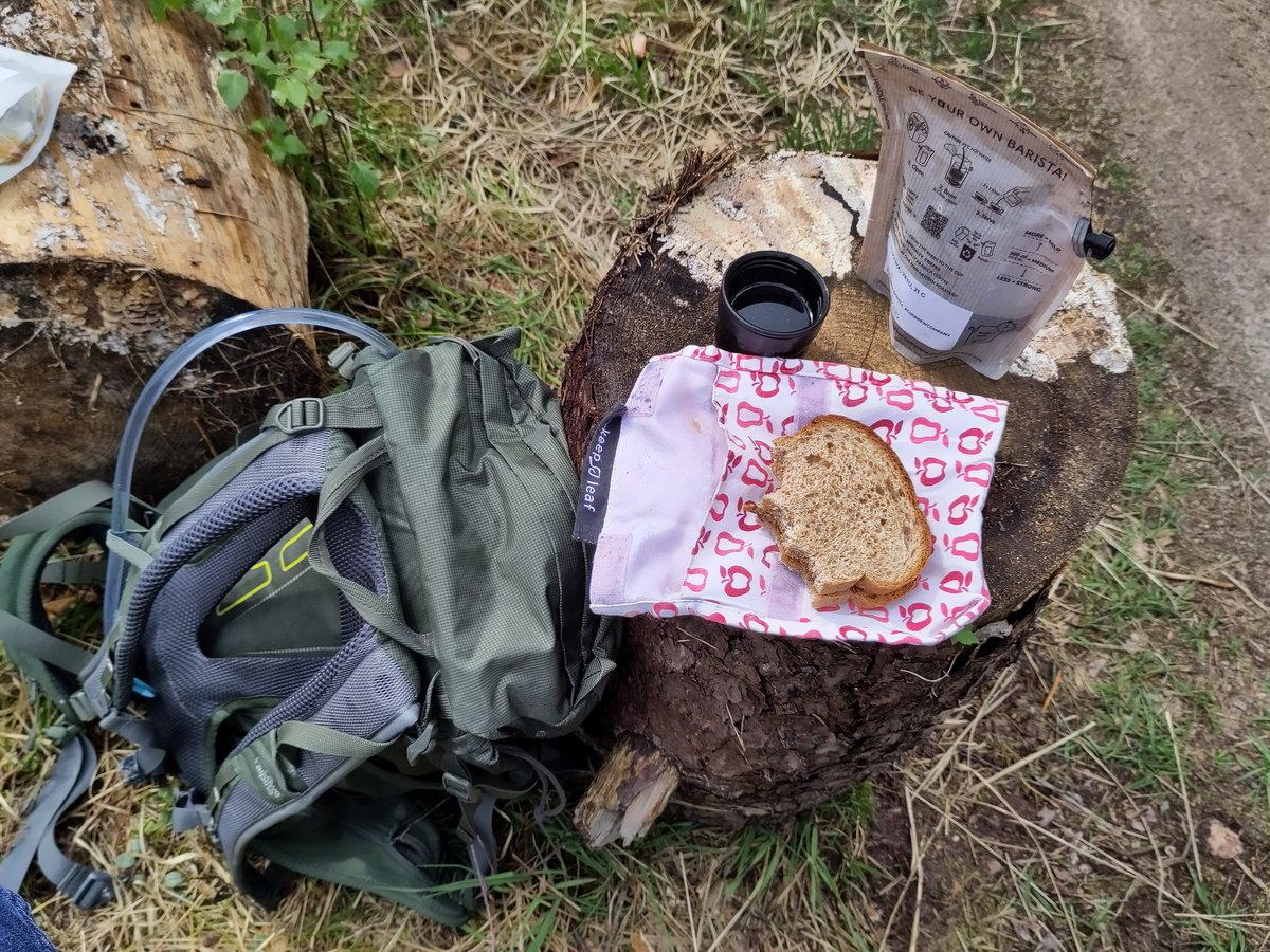 Kinnin11's tweet photo. Hike and chill in the king's forest https://t.co/M23HhSbGWk