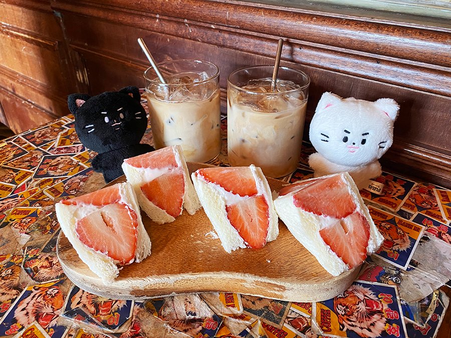 나들이 #하양냥 #하깜냥