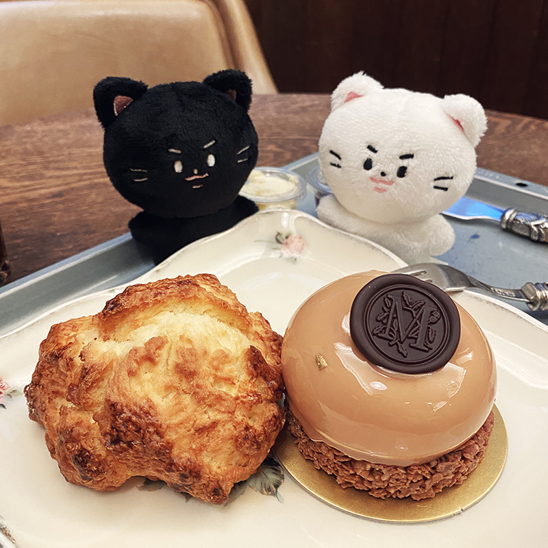 choco_woon's tweet photo. 쪼꼬미들과 맛있는 나들이🍴#하양냥 #하깜냥 https://t.co/2GKGmHNfs2