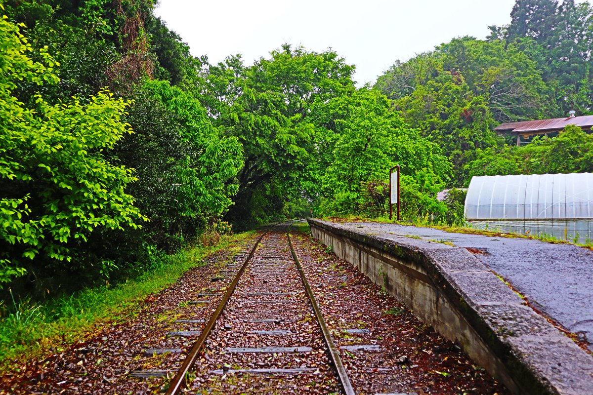 tomo_2104's tweet photo. 今日は友達と鳥取までドライブ🚙
雨でも幻想的に見えますね。
ちなみに初カメラです…むずっ！
練習しないと^^;

#カメラ初心者 
#ミラーレス一眼初心者
#canonEOSkissM2 https://t.co/CAZYKdhmxk