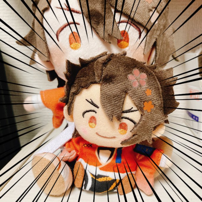 我が家にもゆびちゃん届いた〜わんぱくより小麦色な肌だ!
