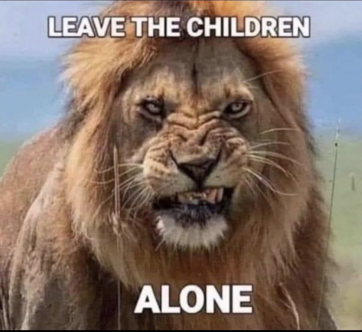 RedAce2024 tweet media