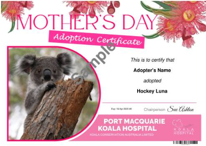 One week until Mother's Day! Treat Mum to a gift that gives back to wild koalas. Follow the link koalahospital.org.au/products/6829-… and simply change the Certificate template to 'Mother's Day' and write your own beautiful message. Thank you for your support 💗