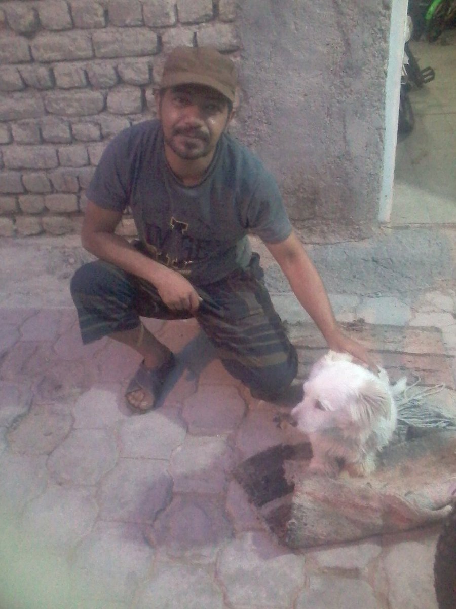 Morteza Hoseini (@morteza39967880) on Twitter photo 