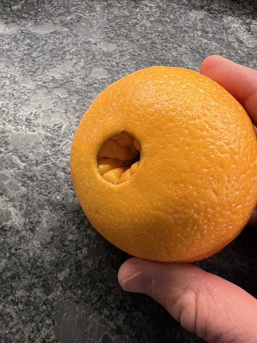 Earl of FrunkPuppy tweet media