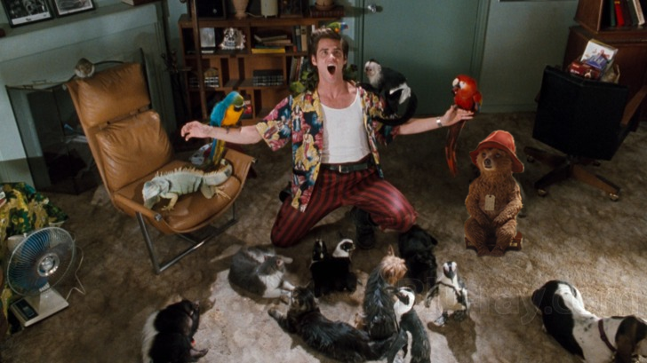 jaythechou's tweet image. I Photoshop paddington into a movie, game, TV show, or album until I forget: Day 788