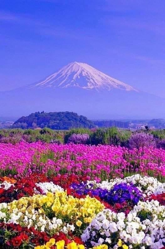 There is no artist like our God!