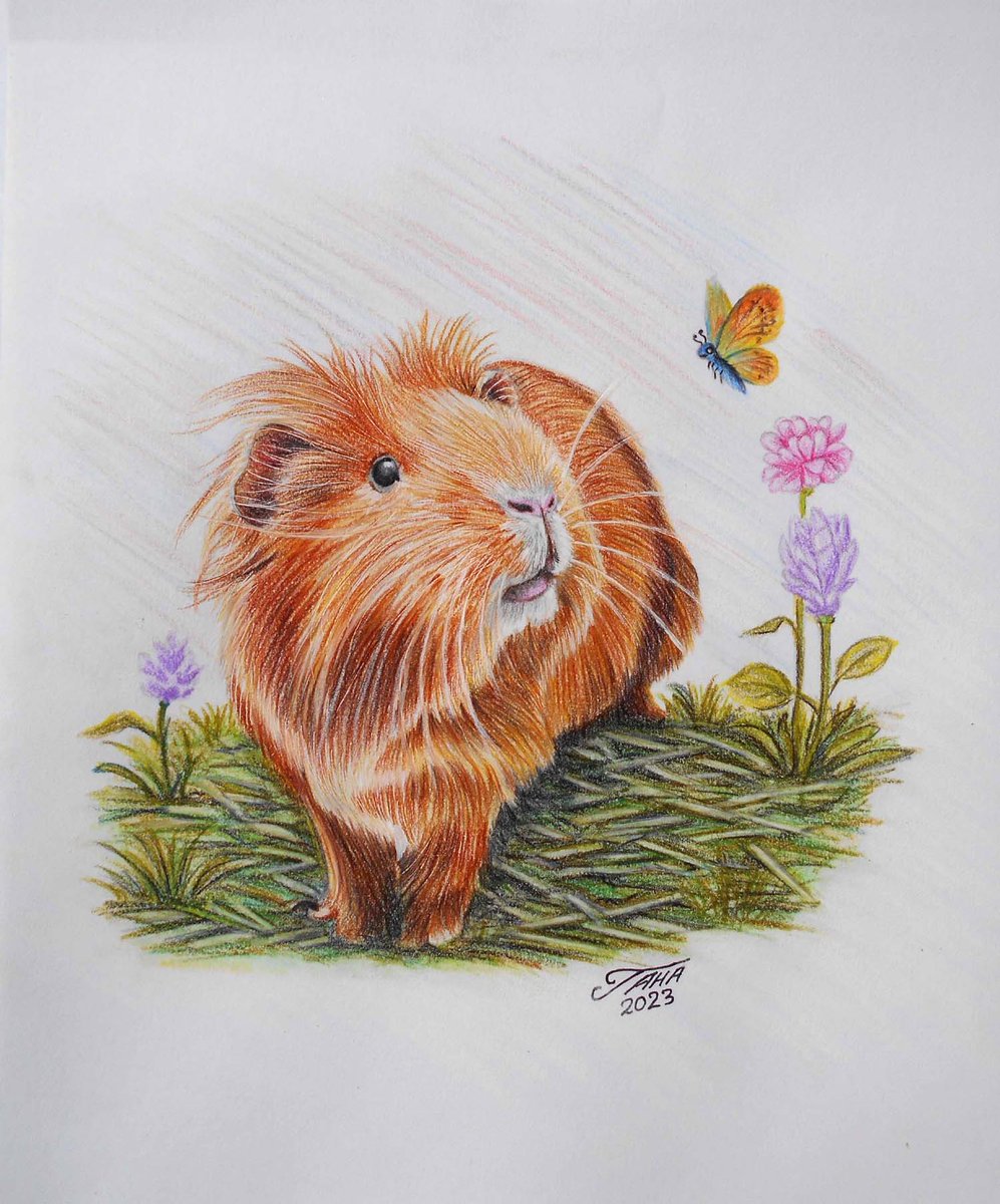 Guineapig
Medium: Color Pencil (Faber-Castell Classic)
Size:  A4 Sketch Book (21 x 29.5 cm)
-
-
#sketchbook #drawing #guineapig #toffee #artwork #pencil #portrait #butterfly #flowers #grass