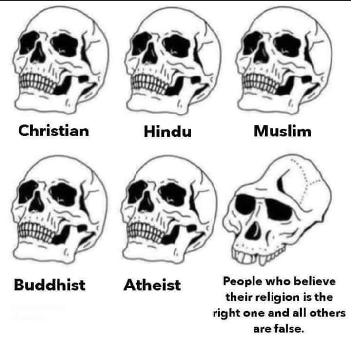 D tweet media