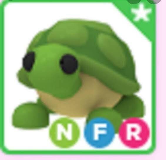 Nfr turtle giveaway!?

Rules:

~like + rt
~follow me + @MisneyLuv + @twiceive_ 
~comment “green tea”
~follow our TikTok! deluxemiz and deluxe2miz

Ends when this MAY ends <33
Show proof if u can <33