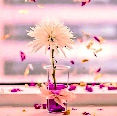 ♕تاج أخلاقي♕ tweet media