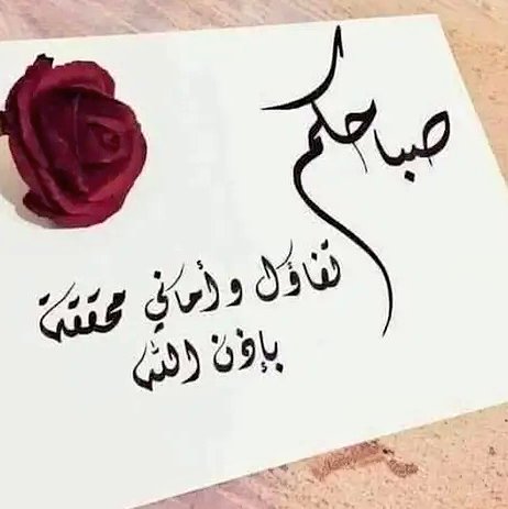 ♕تاج أخلاقي♕ tweet media