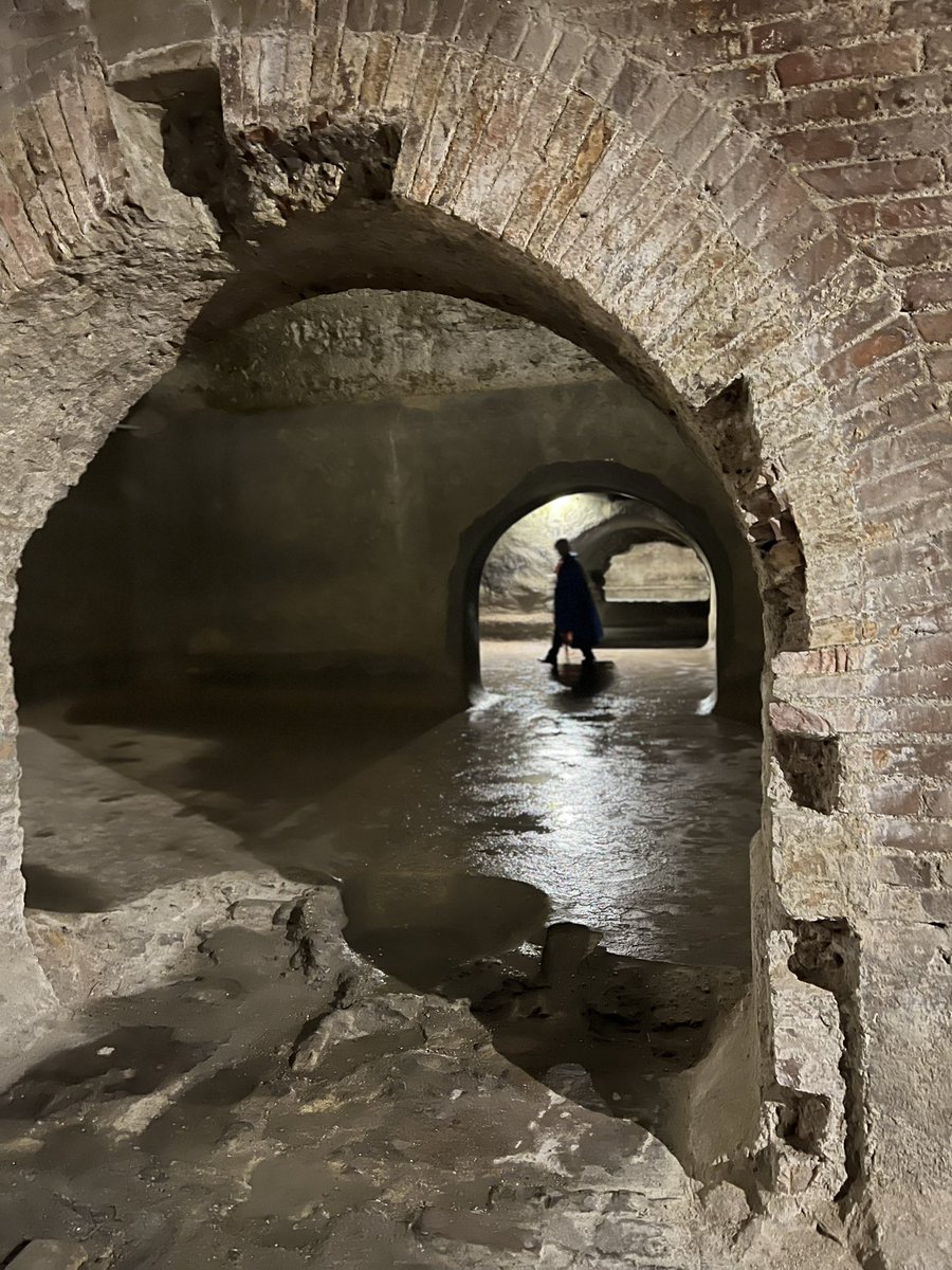 #Metamorfosi > un altro grande successo di pubblico con lo spettacolo ideato da Nuova Linfa in collaborazione con <a href="/Gruppo_Maggioli/">Gruppo Maggioli</a> #maggiolicultura #FermoMusei