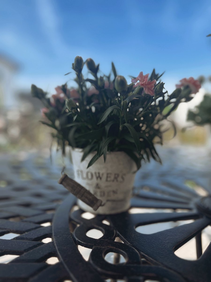 svenvalentin's tweet photo. POV: you let #iPhone decide on where to put the focus on #portrait mode 😅

#iphonephotography #photo #photography #art #blurred https://t.co/rOUdylJvT1