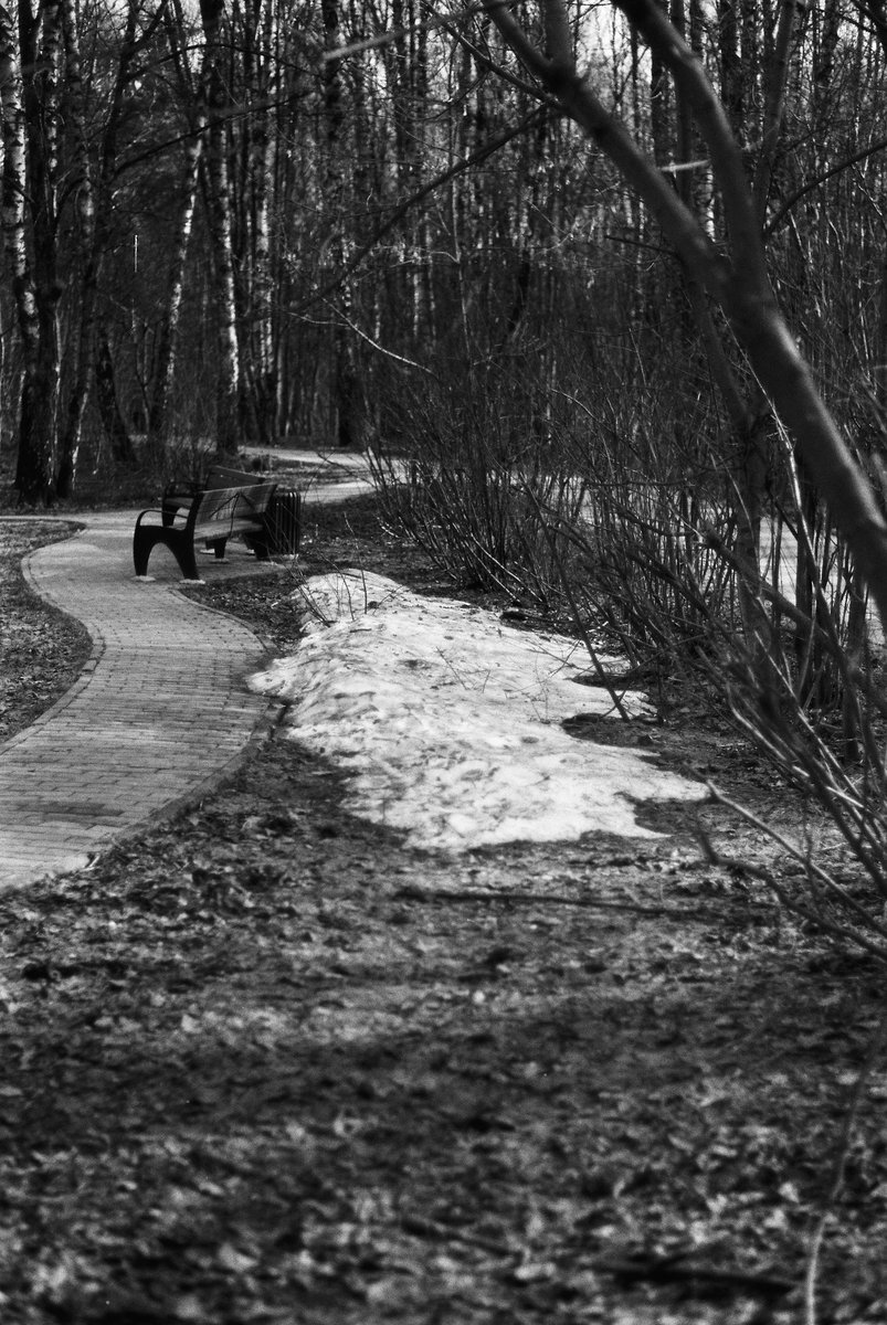 onemoremonkey_'s tweet photo. last snow but not least https://t.co/8dTOzMPdL2