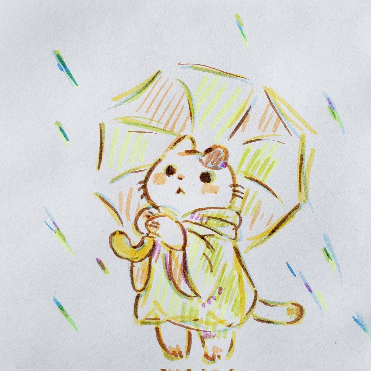 no humans cat rain animal holding raincoat traditional media  illustration images