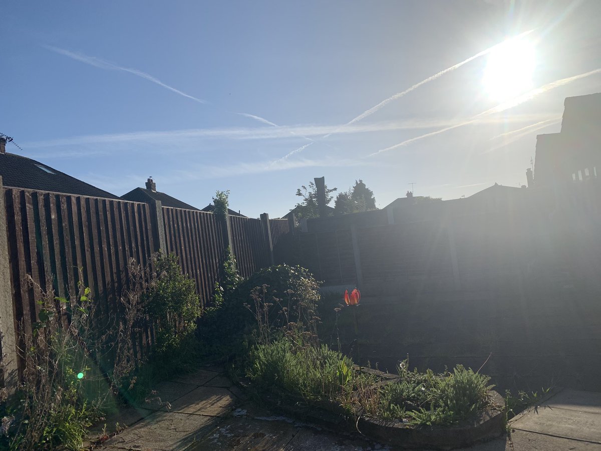 Finally moved into our beautiful new home🥰Gardening on the agenda for today🌳🌱#newhome