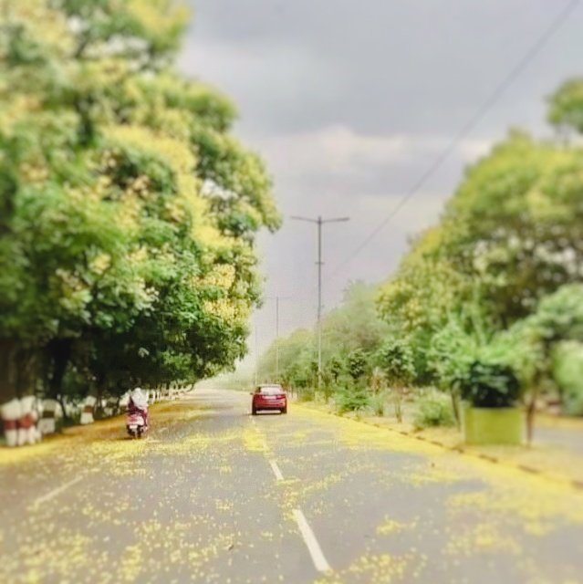 gauravkumar_96's tweet photo. The rain has come to grace our streets,
To wash away the grime and heat,
And in its wake, a beauty grows,
As nature's colors start to show.

The city's buildings shimmer bright,
Reflecting raindrops in the light,
And every leaf on every tree,
Is fresh and green, as it should be. https://t.co/ji8ifETP6S