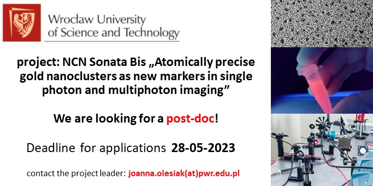 Interested in workung on ultra-small gold and nonlinear optics? I'm looking for a post-doc: nona.pwr.edu.pl/open-positions